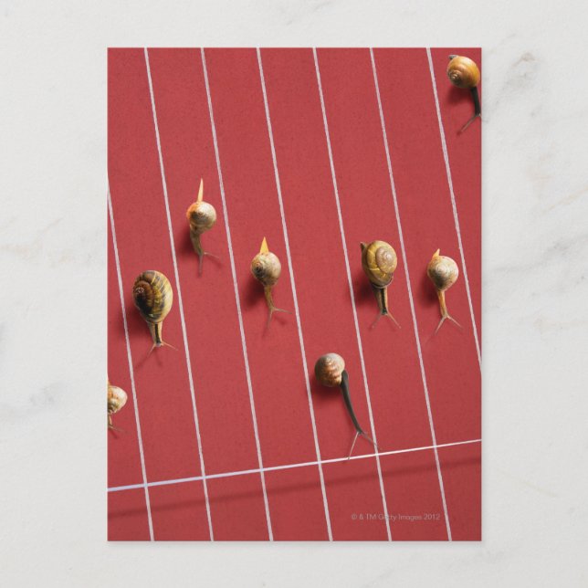 Cartão Postal Caracóis correndo no caminhão (Frente)