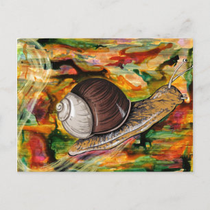 Cartão Postal Caracol