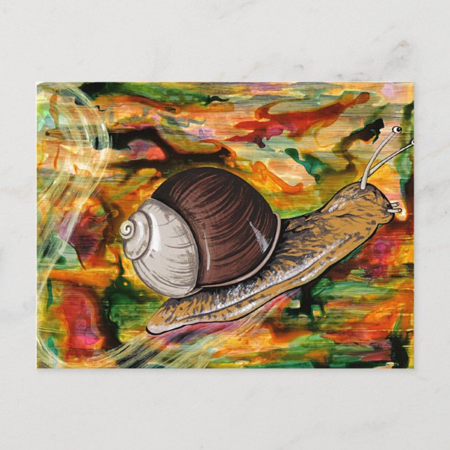 Cartão Postal Caracol (Frente)