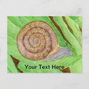 Cartão Postal Caracol