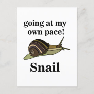 Cartão Postal Caracol Indo no Meu Próprio Ritmo Caracol Engraçad
