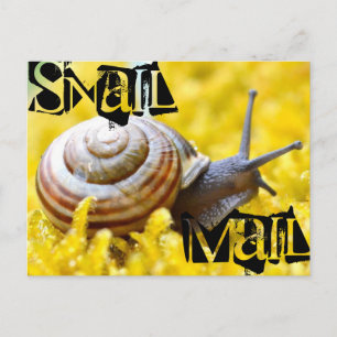 Cartão Postal Caracol Mail