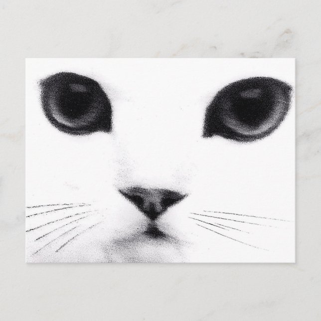 Cartão Postal Características do gato do gatinho (Frente)