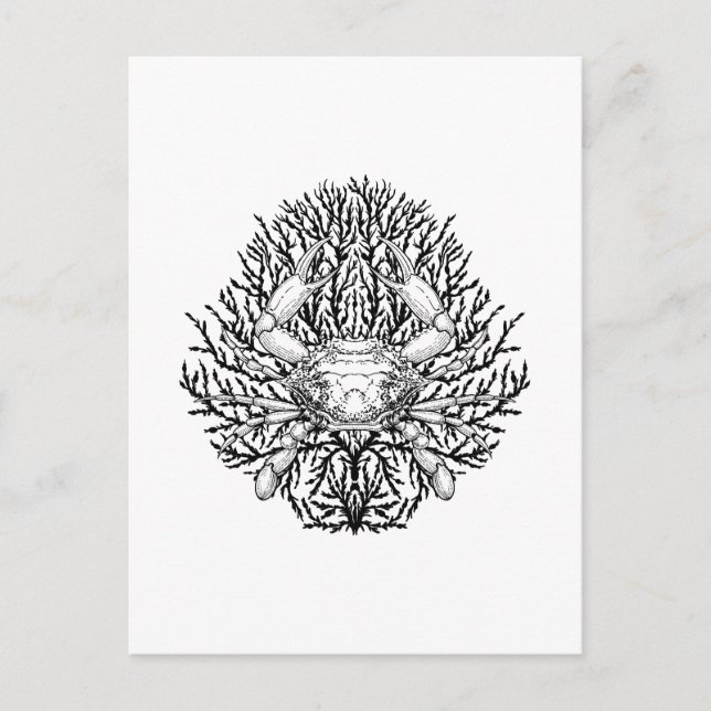 Cartão Postal Caranguejo (Frente)