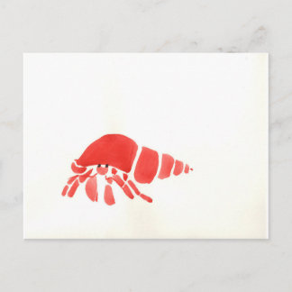 Cartão Postal Caranguejo-Eremita Vermelho