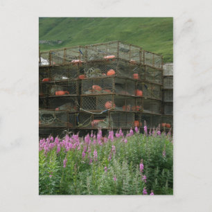 Cartão Postal Caranguejos armazenados no porto neerlandês, no Al