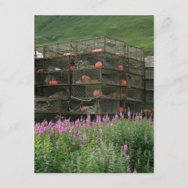 Cartão Postal Caranguejos armazenados no porto neerlandês, no Al (Frente)