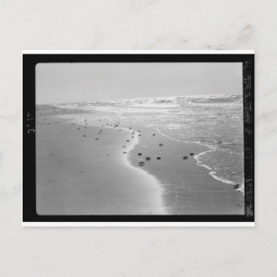 Cartão Postal Caranguejos na praia. Em Wadi Ghuzze 1920-1933.tif