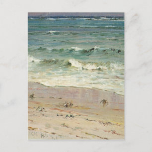 Cartão Postal Caranguejos na praia por D. Howard Hitchcock
