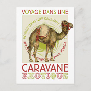 Cartão Postal Caravan Camel