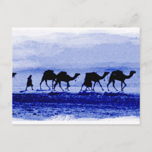 Cartão Postal Caravana Azul do Desert Camel Caravan