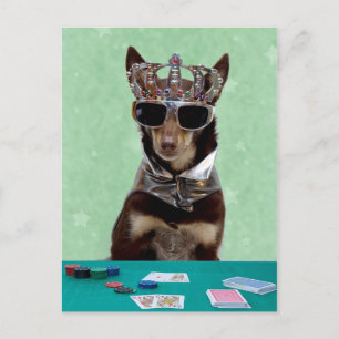 Cartão Postal Card Shark King