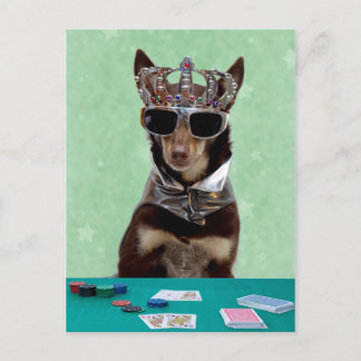 Cartão Postal Card Shark King