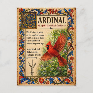 Cartão Postal Cardeal, Arte do Bestiário Medieval