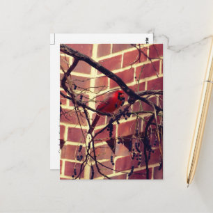 Cartão Postal Cardeal na Biblioteca dos 43 anos