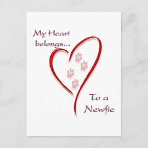 Cartão Postal Cardíaco da Terra Nova Pertence