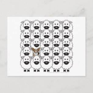 Cartão Postal Cardigan Welsh Corgi no Ovinos