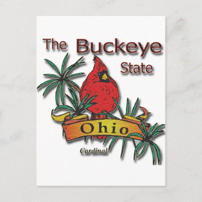 Cartão Postal Cardinal de Ohio Buckeye (Frente)
