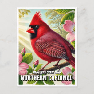 Cartão Postal Cardinal do Norte de Pássaro do Estado do Kentucky