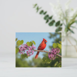 Cartão Postal Cardinal em um galho de Redbud