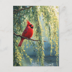 Cartão Postal Cardinal em uma Árvore de Salgueiro