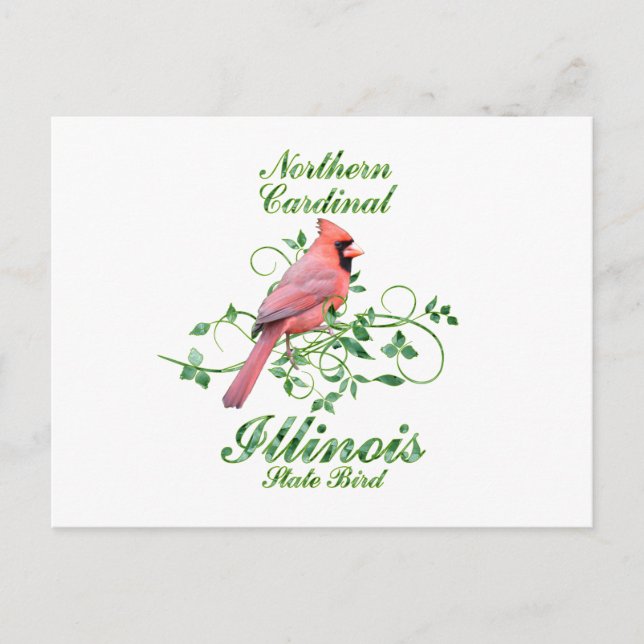 Cartão Postal Cardinal Illinois State Bird (Frente)