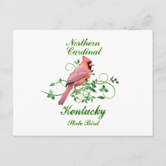 Cartão Postal Cardinal Kentucky State Bird
