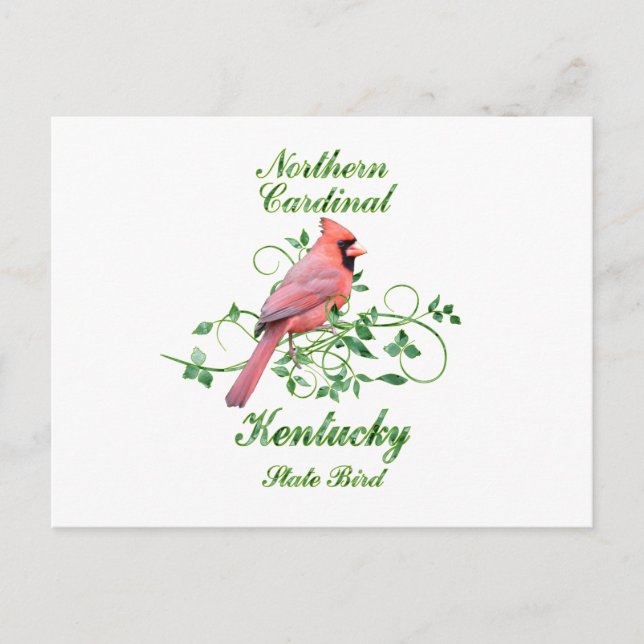 Cartão Postal Cardinal Kentucky State Bird (Frente)