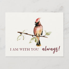 Cartão Postal Cardinal Vermelho Sentimental Estou Com Você Sempr
