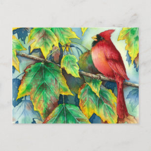 Cartão Postal CardinalPostcard 004
