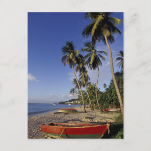 Cartão Postal CARIBBEAN, Grenada, St. George, Boats on palm