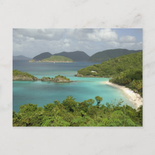 Cartão Postal Caribe, Ilhas Virgens dos EUA, St. John, Tronco