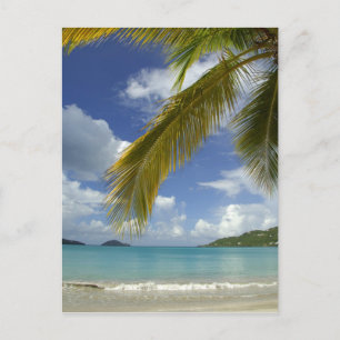 Cartão Postal Caribe, Ilhas Virgens dos EUA, St.Thomas,