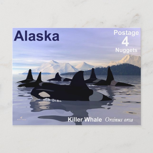 Cartão Postal Carimbo de Baleias Killer do Alaska (Frente)