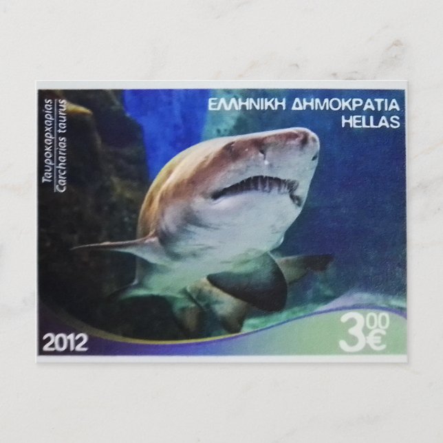 Cartão Postal Carimbo grego Tubarão-tigre-areia (Frente)