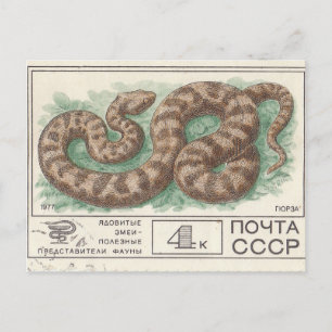 Cartão Postal Carimbo soviético Viper