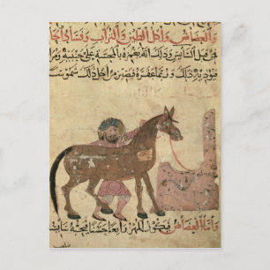 Cartão Postal Carinho pelo cavalo, ilustração