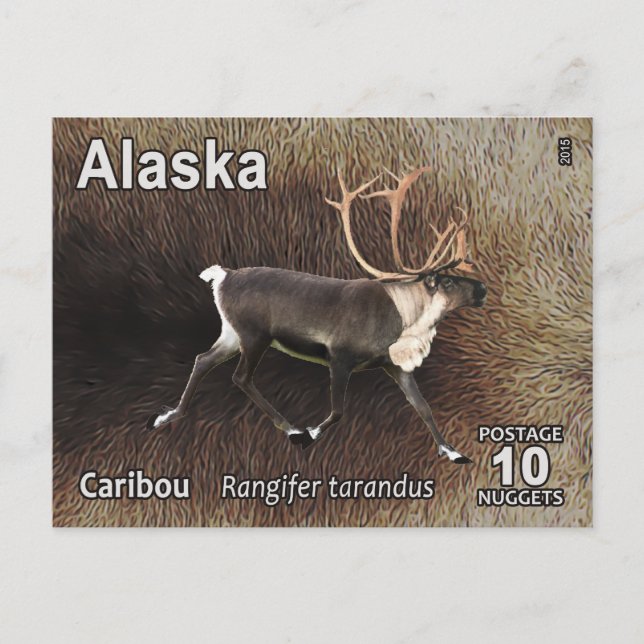 Cartão Postal Cariou (Reindeer) - Postage do Alasca (Frente)
