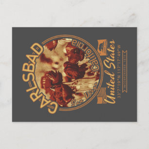 CARTÃO POSTAL CARLSBAD CALIFÓRNIA - CAMPOS DE FLOR CARLSBAD