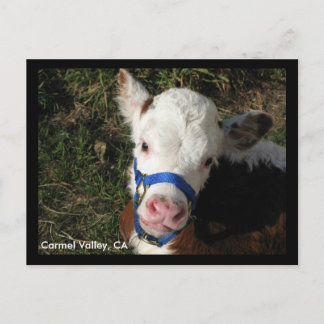 Cartão Postal Carmel Valley, CA Postcard