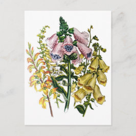 Cartão Postal Carnaval de flores