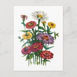 Cartão Postal Carnaval de flores