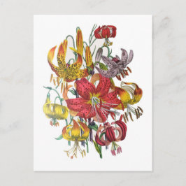 Cartão Postal Carnaval de flores