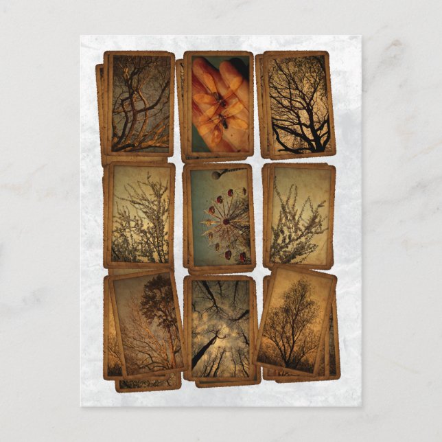 Cartão Postal Carnaval, Dragões, Árvores (Frente)