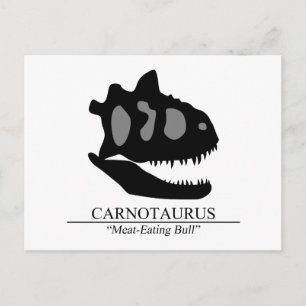Cartão Postal Carnotaurus Skull