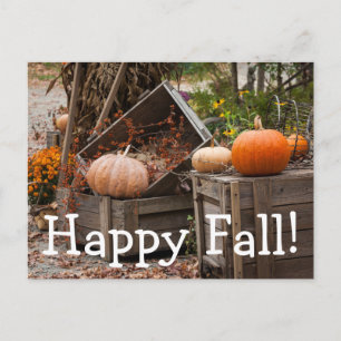 Cartão Postal Carolina do Norte, Linville, abóboras de outono