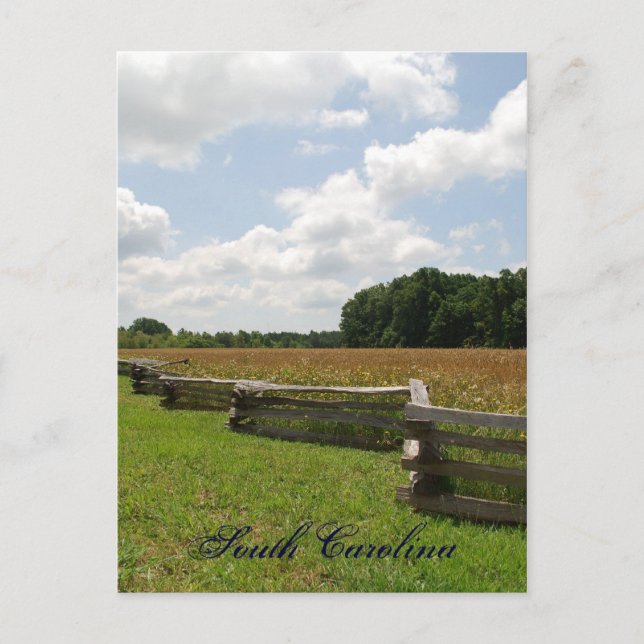 Cartão Postal Carolina do Sul (Frente)
