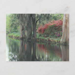 Cartão Postal Carolina do Sul, Charleston