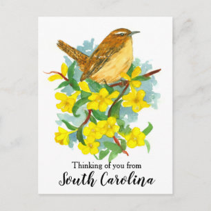 Cartão Postal Carolina do Sul, Wren Bird Pensando em você