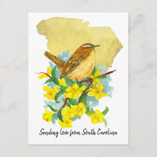 Cartão Postal Carolina Love Wren Pássaro Jessamine Flores Amarel